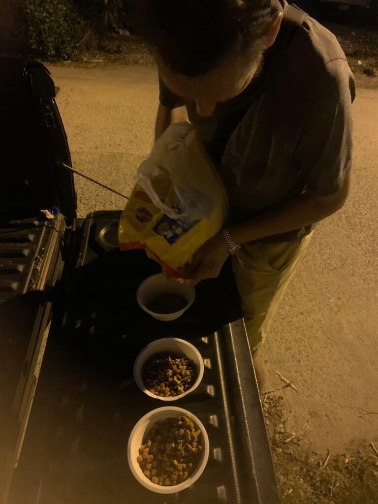 volunteers feeding street dogs in thailand