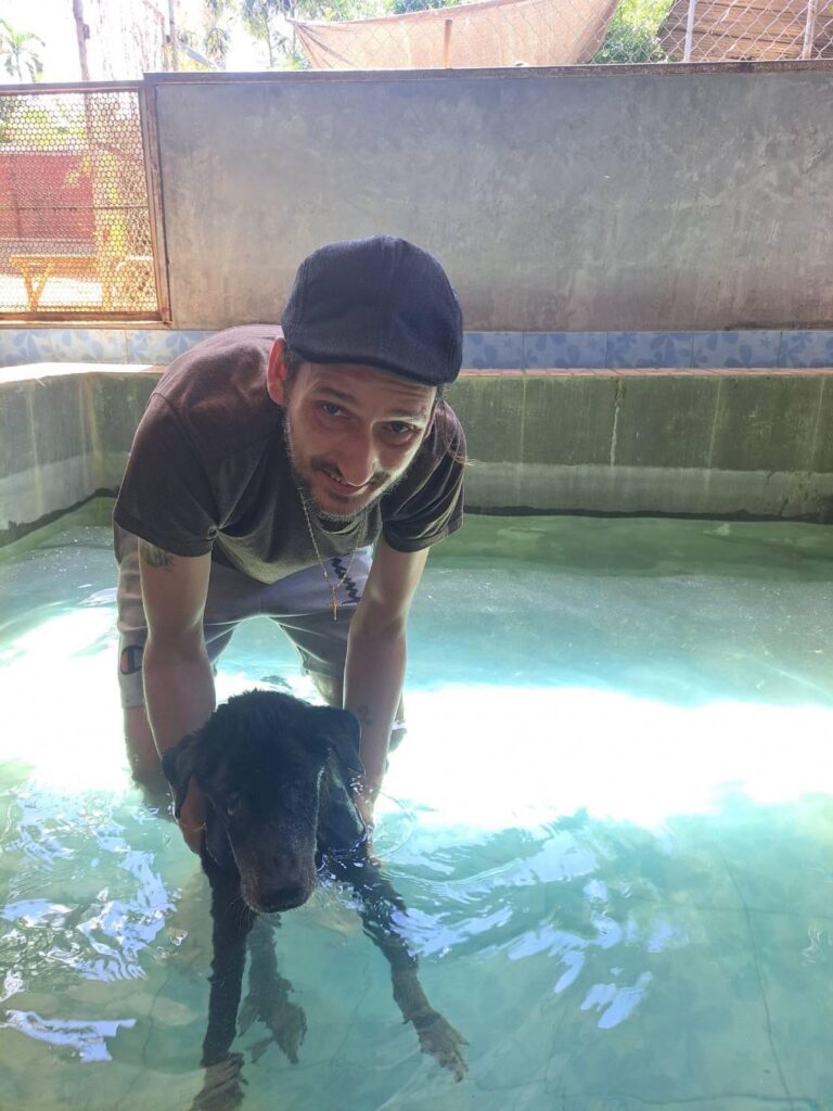 A volunteer helping a dog in a hydrotherapy pool